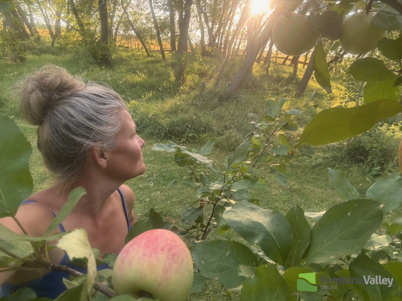 Jen Krahn's Apple Juice episode artwork